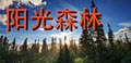 安徽阳光森林