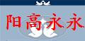 山西阳高永永