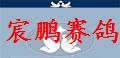 山西宸鹏赛鸽公棚