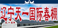 辽宁天一国际